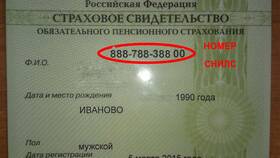 Что такое СНИЛС: расшифровка и как выглядит в Кораблик