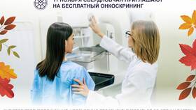 Что входит в акцию в Кораблик