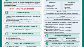Декларация прав для 4 класса: просто о важном в Кораблик