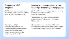 Как ИП на НПД платить налоги в Кораблик