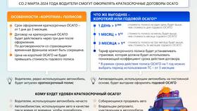 Как исправить электронный полис ОСАГО в Кораблик
