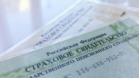 Как найти свой номер СНИЛС через интернет в Кораблик