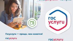 Как оформить регистрацию через Госуслуги в Кораблик