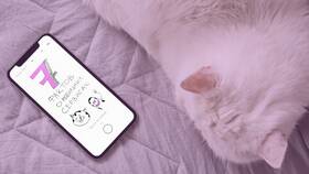 Как оплатить услуги оператора Tele2 (бывший 7) в Кораблик
