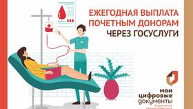 Как подать документы на выплаты через Госуслуги в Кораблик