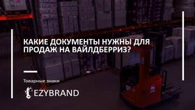 Как подать в суд на продавца Wildberries в Кораблик