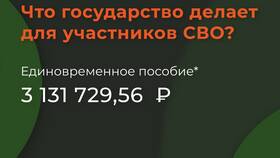 Как получить губернаторскую выплату участнику СВО в Кораблик