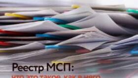 Как проверить статус МСП по ИНН в Кораблик