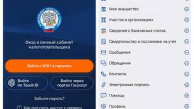 Как войти в налоговую через портал Госуслуг в Кораблик