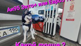 Лукойл Экто Плюс: что это в Кораблик