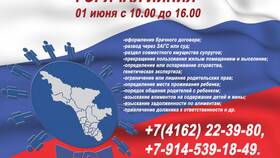 Процедура взыскания имущества в Кораблик