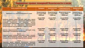 Штраф 30 000 рублей: за какие нарушения могут назначить