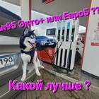 Лукойл Экто Плюс: что это