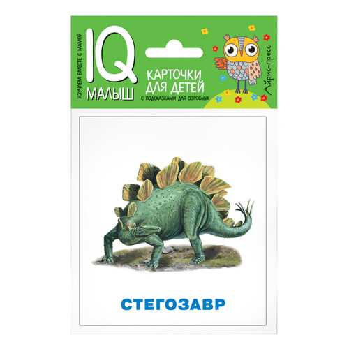 Игровой набор Айрис-пресс Умный малыш Динозавры в Кораблик