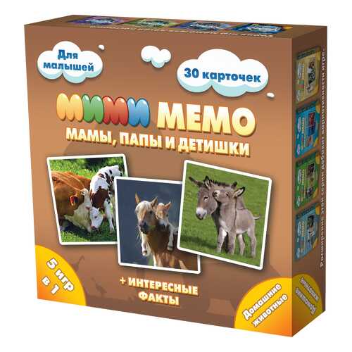 Дидактическая игра Нескучные Игры Ми-Ми-Мемо Домашние Животные Арт.8051/36 в Кораблик