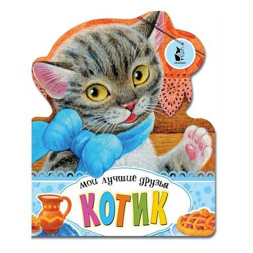 Котик в Кораблик